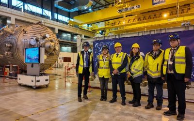 Rusii, cu pașapoartele lăsate: Gigantul nuclear european, sub expertiză