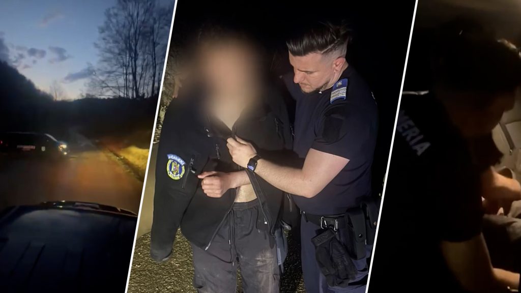 Urmărit de urs, tânăr fuge din pădure și-și abandonează motocicleta Salvat de jandarmi