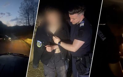 Urmărit de urs, tânăr fuge din pădure și-și abandonează motocicleta Salvat de jandarmi