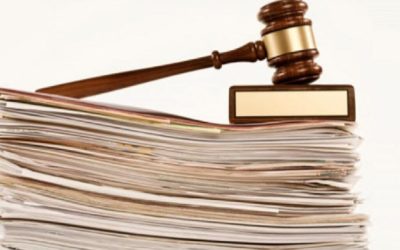 Condamnare în dosarul „taxa pe salariu”: Fosta șefă MIPE, 3 ani și jumătate de închisoare