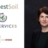 June Communications intră pe piața proiectelor europene, cu o nouă divizie