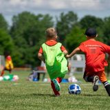 Juniorii Stelei, internați la Arad: Suspect de toxiinfecție alimentară