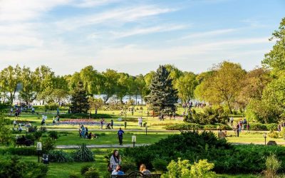 Weekend cu FILM: O’Clock, Alpin Film Festival și Hanami în România