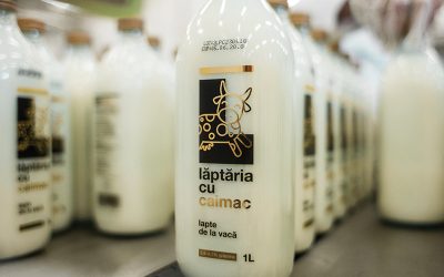 Lăptăria cu Caimac, investiție colosală: 20 milioane € pentru energie verde în Ialomița