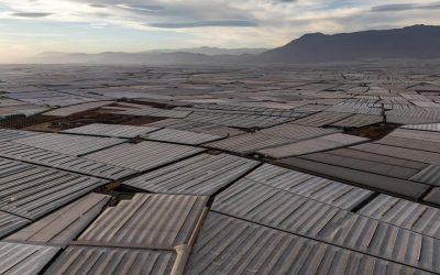 Spania: „Marea de plastic” care hrănește Europa, dar ridică semne de întrebare În sudul Spaniei, în regiunea Almería, o vastă întindere acoperită cu sere de plastic a transformat un teren arid într-un centru agricol prolific