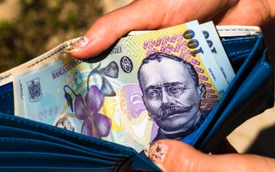 Agricultura: Salariul minim al fermierilor, legat de cel pe economie, a fost votat