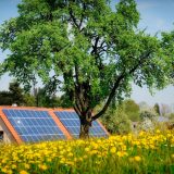 Lemnul revoluționar: Inginerii crează surse de energie solară și noaptea!
