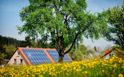 Lemnul revoluționar: Inginerii crează surse de energie solară și noaptea!