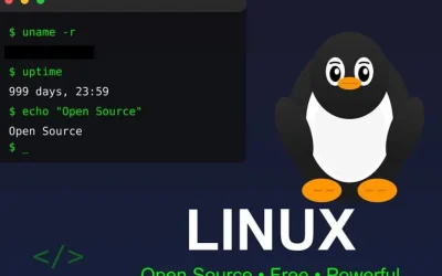 Franța, lovitură pentru Giganții Tech: RENUNȚĂ la Windows în favoarea Linux