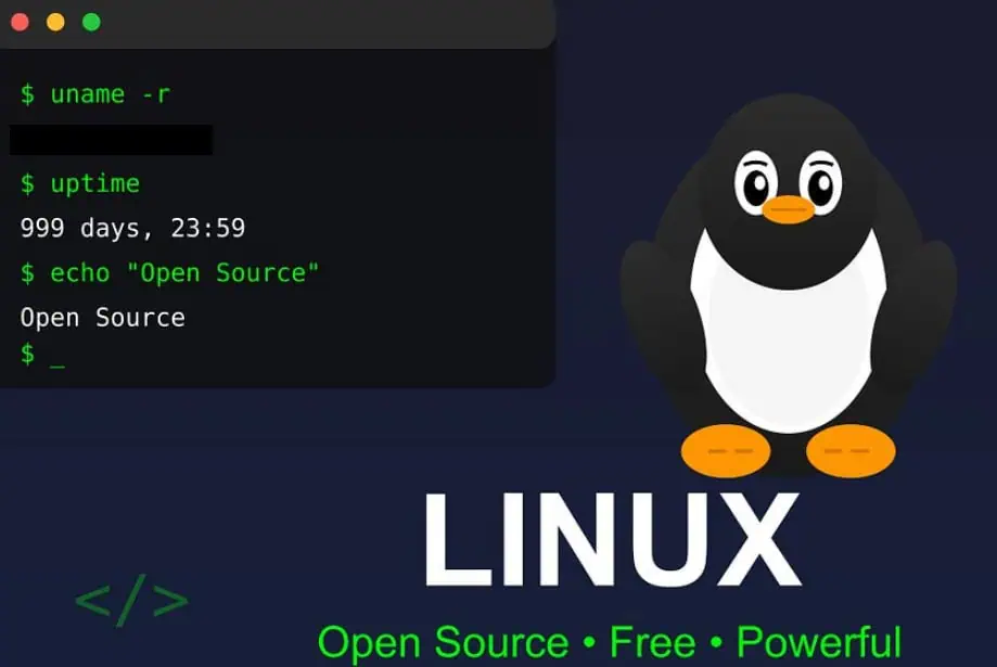 Franța, lovitură pentru Giganții Tech: RENUNȚĂ la Windows în favoarea Linux