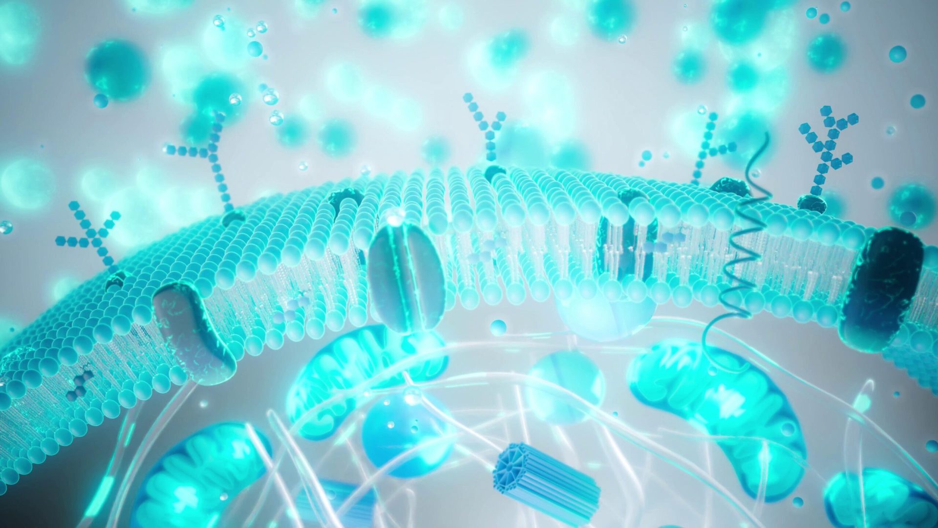 Tinerețe pe bani: Câtă știință e în febra longevității