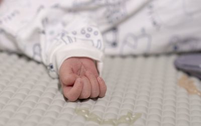 Bonus de 1000 de euro pentru copiii românilor din Italia: Condiții și pași