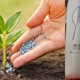 Dronele ucrainene lovesc industria rusă: Fabrica de îngrășăminte, ținta atacurilor