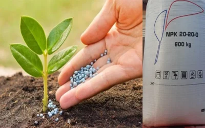 Dronele ucrainene lovesc industria rusă: Fabrica de îngrășăminte, ținta atacurilor