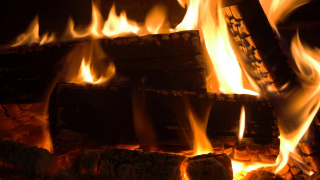 Oamenii preistorici foloseau lemne aduse de apă pentru foc, acum 780.000 ani