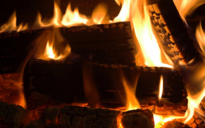 Oamenii preistorici foloseau lemne aduse de apă pentru foc, acum 780.000 ani