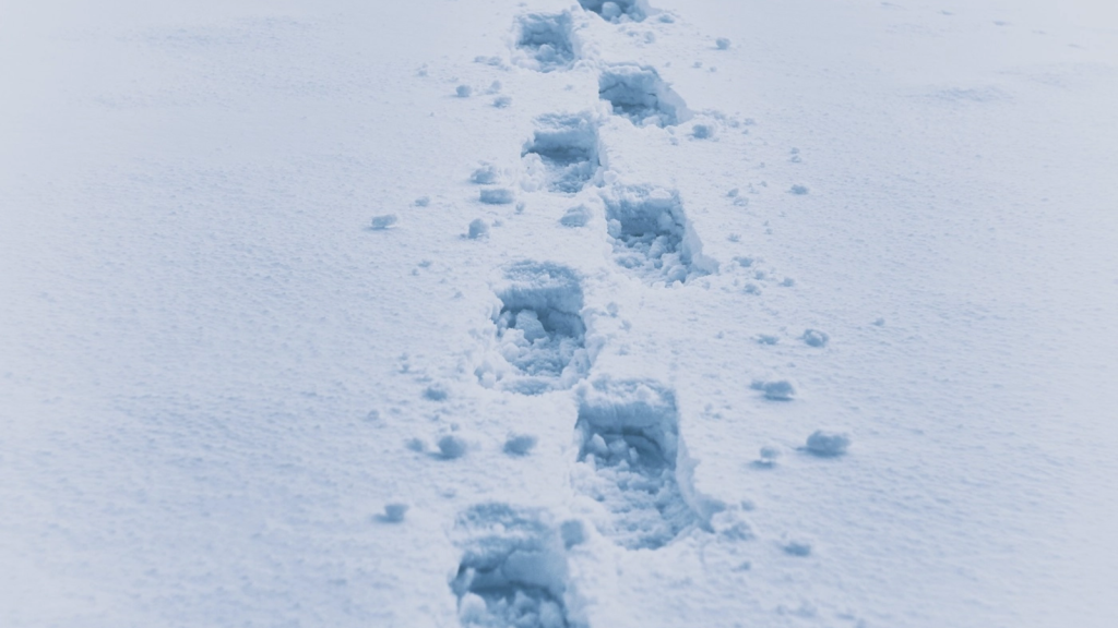 Muntele, sub asediu: Salvamont avertizează, iarna nu renunță la România