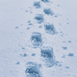 Muntele, sub asediu: Salvamont avertizează, iarna nu renunță la România