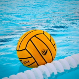 România, la polo: Luptă pentru locurile 5-6 la Cupa Mondială 2026