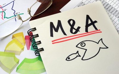 Carrefour și Garanti vând afaceri în România: Record M&A în Q1