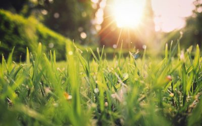 Vreme blândă, dar cu ploi: Unde se va strica vremea în România