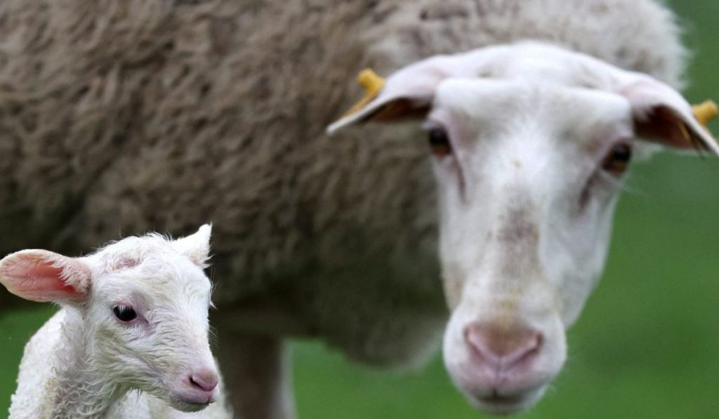 Nu mai pot! Disperare mare: Îmi trebuie ajutor, dar nu găsesc pe nimeni