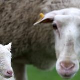 Nu mai pot! Disperare mare: Îmi trebuie ajutor, dar nu găsesc pe nimeni