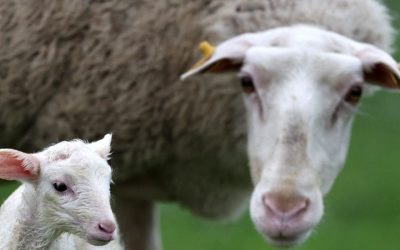 Nu mai pot! Disperare mare: Îmi trebuie ajutor, dar nu găsesc pe nimeni