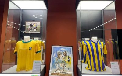 Acces gratuit la colecția Mircea Lucescu din București!