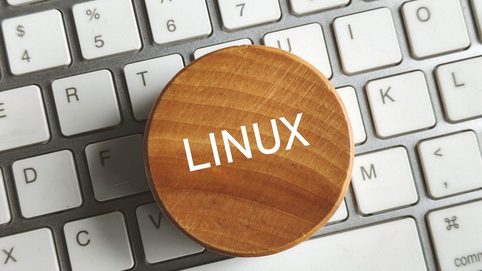 Ubuntu 26.04 va cere mai mulți resurse decât Windows 11, dar asta nu înseamnă că Linux a devenit „greoi” Viitoarea versiune a sistemului de operare Ubuntu, programată pentru lansare în aprilie 2026, ridică semne de întrebare în ceea ce privește cerințele de sistem