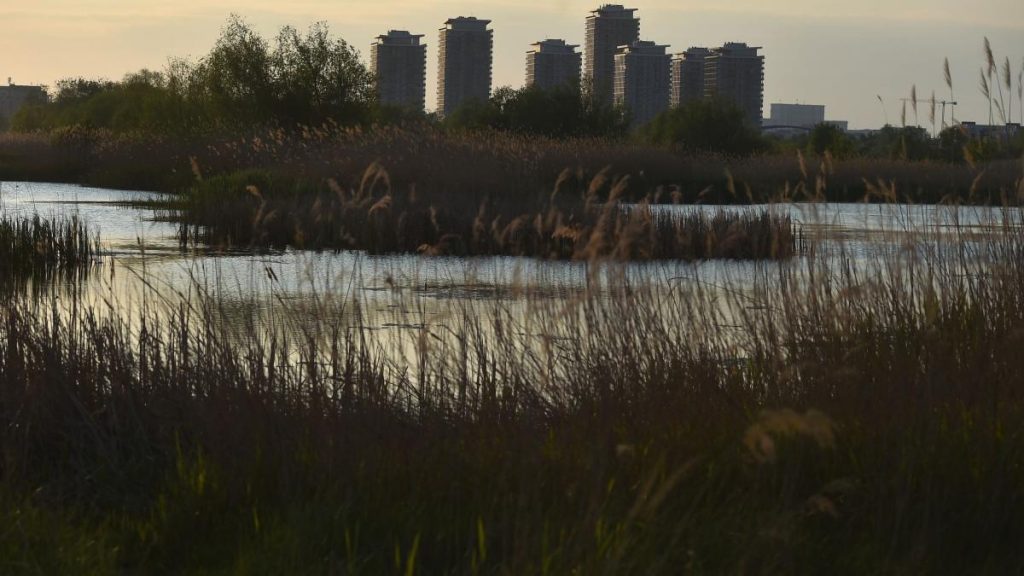 O oază de natură la Văcărești, în București: Bloomberg, uimită de Delta