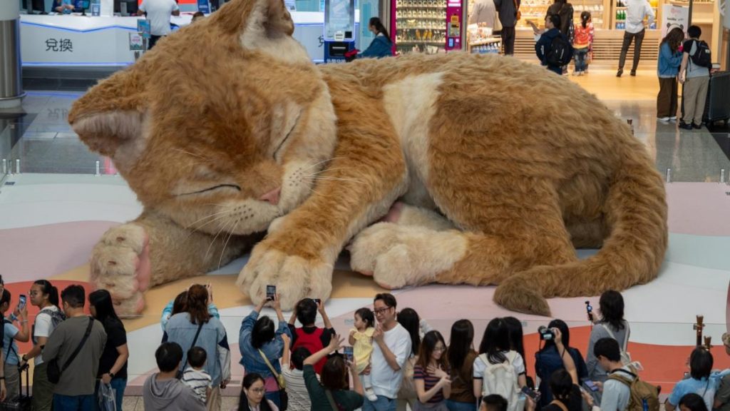 O pisică uriașă „găzduită” în Aeroportul Hong Kong fascinează călătorii