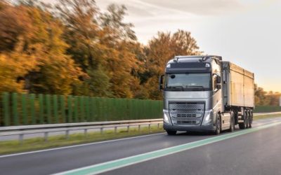 Țară din Europa lovește ȘOFERII PROFESIONIȘTI: Permise ANULATE după accidente mortale, avertizează Titi AUR