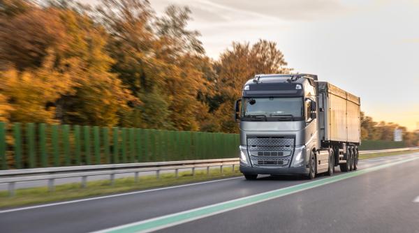 Țară din Europa lovește ȘOFERII PROFESIONIȘTI: Permise ANULATE după accidente mortale, avertizează Titi AUR