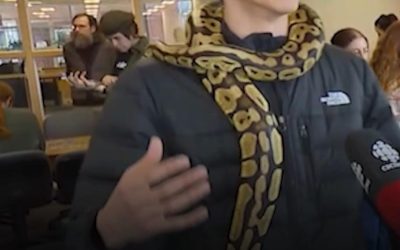 Universitate canadiană, terapie-șoc pentru studenți: Șerpi anti-stres în sesiune