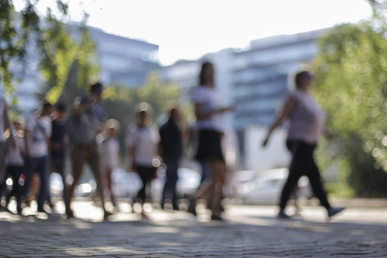 Harghita: 200 de șomeri au învățat română prin cursuri, pentru job-uri