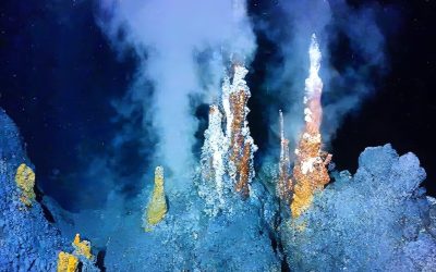 Ce ascund adâncurile? Secretul oceanelor, pericol major pentru schimbările climatice