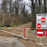 Mașinile, INTERZISE în Pădurea Băneasa: Romsilva blochează traficul auto