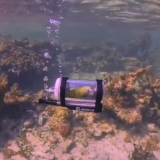 Bărbat din SUA, record mondial: Papagalul său face snorkeling într-un minisubmarin