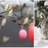 Paște cu vreme capricioasă în România: Ploi, ninsori și ger. Schimbare radicală de luni!