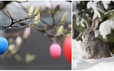 Paște cu vreme capricioasă în România: Ploi, ninsori și ger. Schimbare radicală de luni!