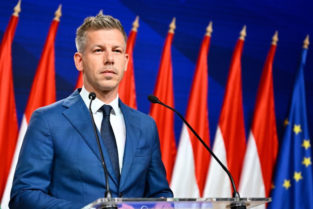 Magyar: De la om de casă la „mezelar”, strategia anti-Orban
