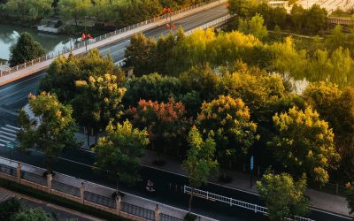 Galați: Patru păduri urbane, cu finanțare PNRR de 3,5 milioane lei