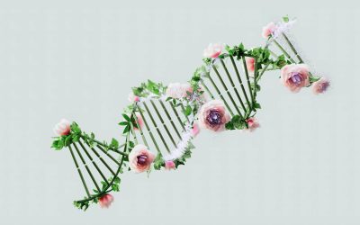 Brad Pitt și Barack Obama, rude? Legături neștiute în lumea vedetelor