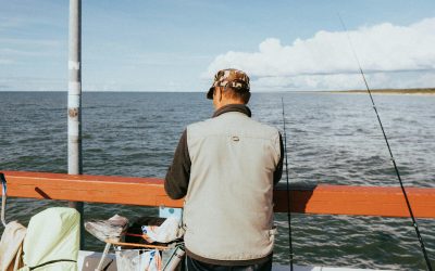 UE, dezamăgită de pescuitul în Marea Baltică: Cere revizuirea planurilor