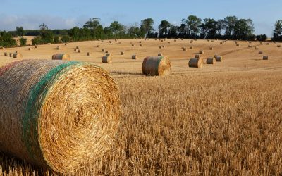 Franța, ajutor de 300 de milioane EURO pentru fermieri: UNDĂ VERDE de la Comisia Europeană