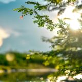 Soarele înșelător: Cum ne afectează pielea „ieșită din iarnă”