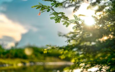 Soarele înșelător: Cum ne afectează pielea „ieșită din iarnă”