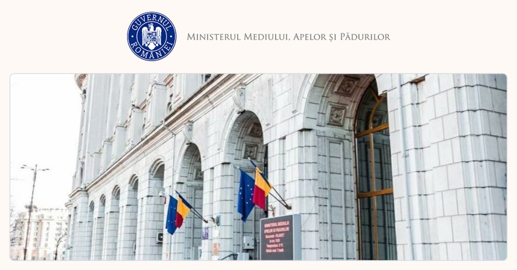 Guvernul discută compensații pentru lemnul nerecoltat din 2010-2013