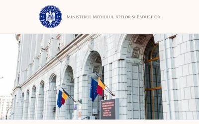 Guvernul discută compensații pentru lemnul nerecoltat din 2010-2013